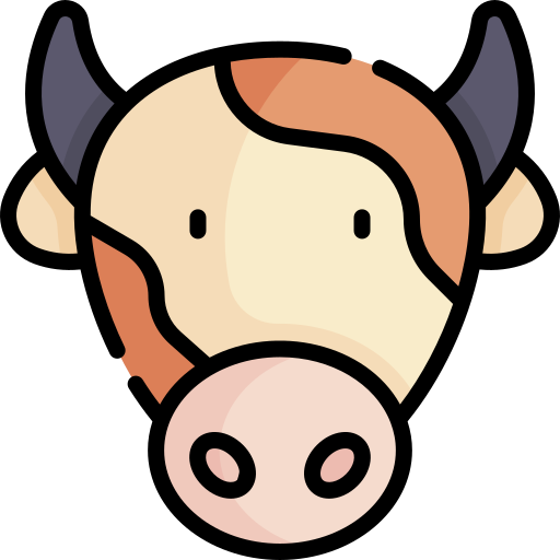 beef
